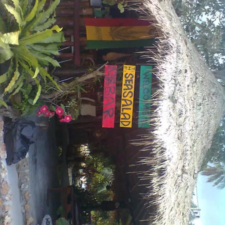 Sea Salad Resort